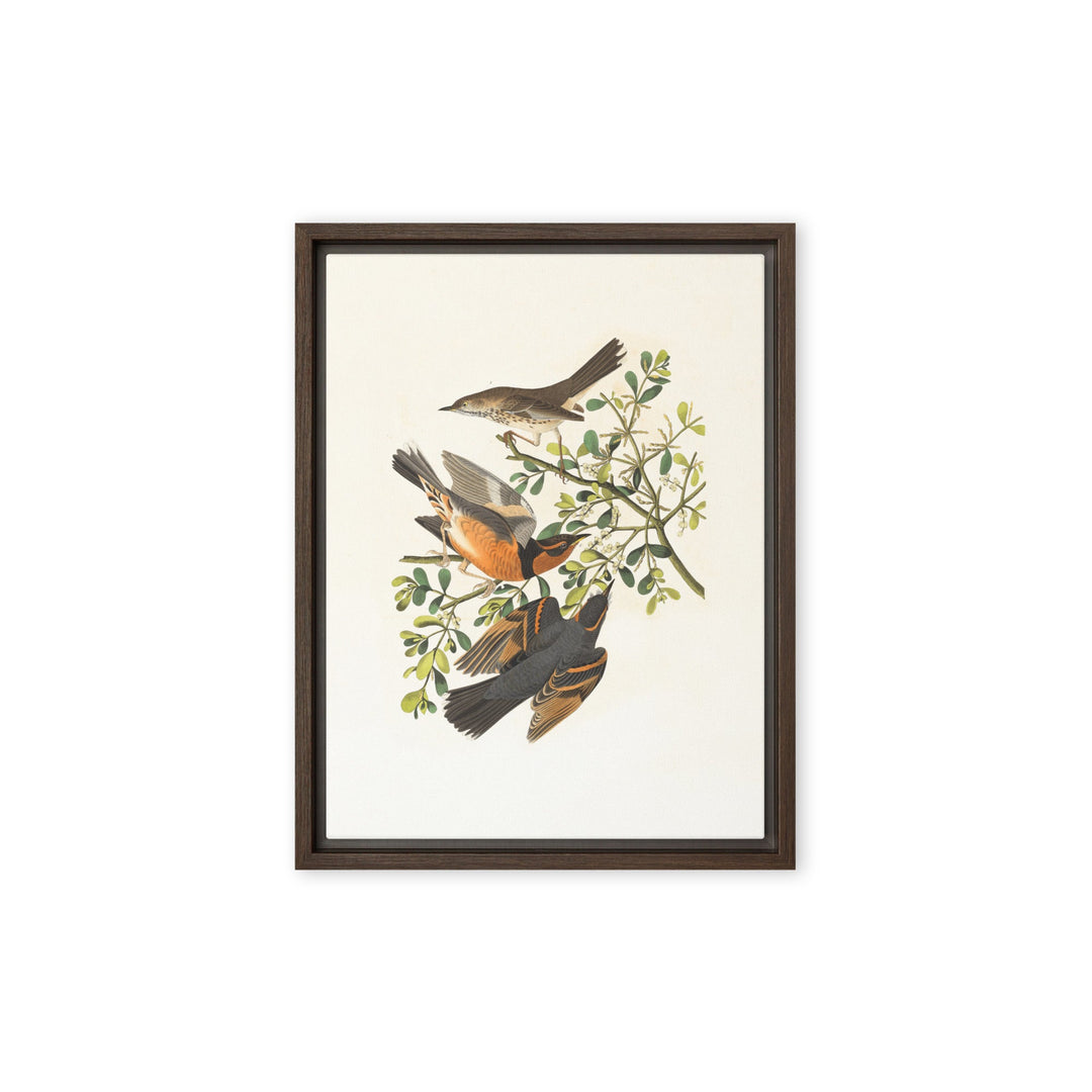 Leinwand - Drei Vögel auf Ästen Braun / 31x41 cm (12″×16″) artlia