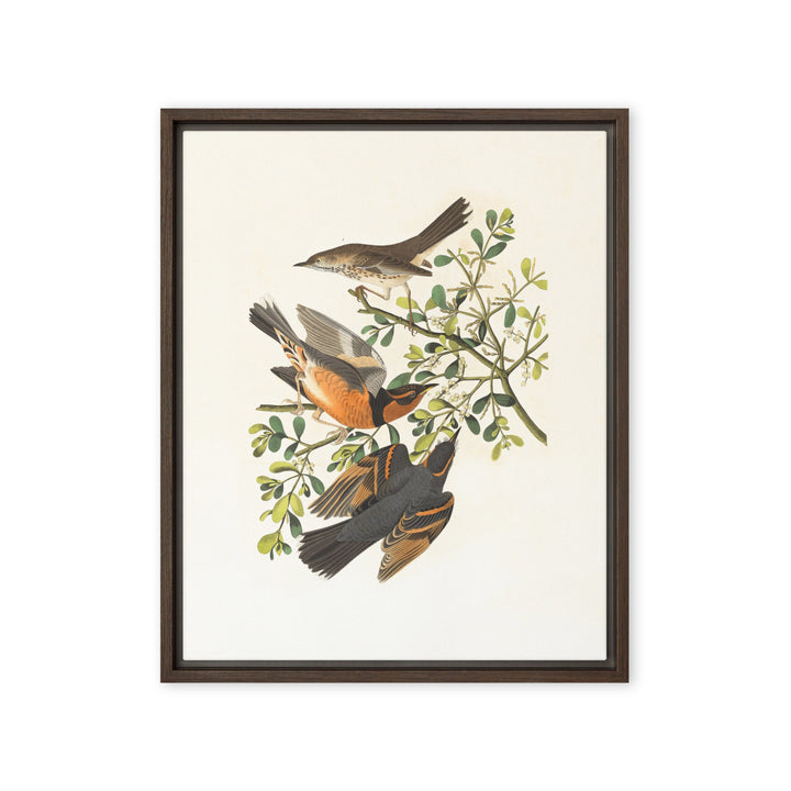 Leinwand - Drei Vögel auf Ästen Braun / 41x51 cm (16″×20″) artlia