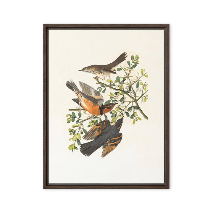Leinwand - Drei Vögel auf Ästen Braun / 61x81 cm (24″×32″) artlia