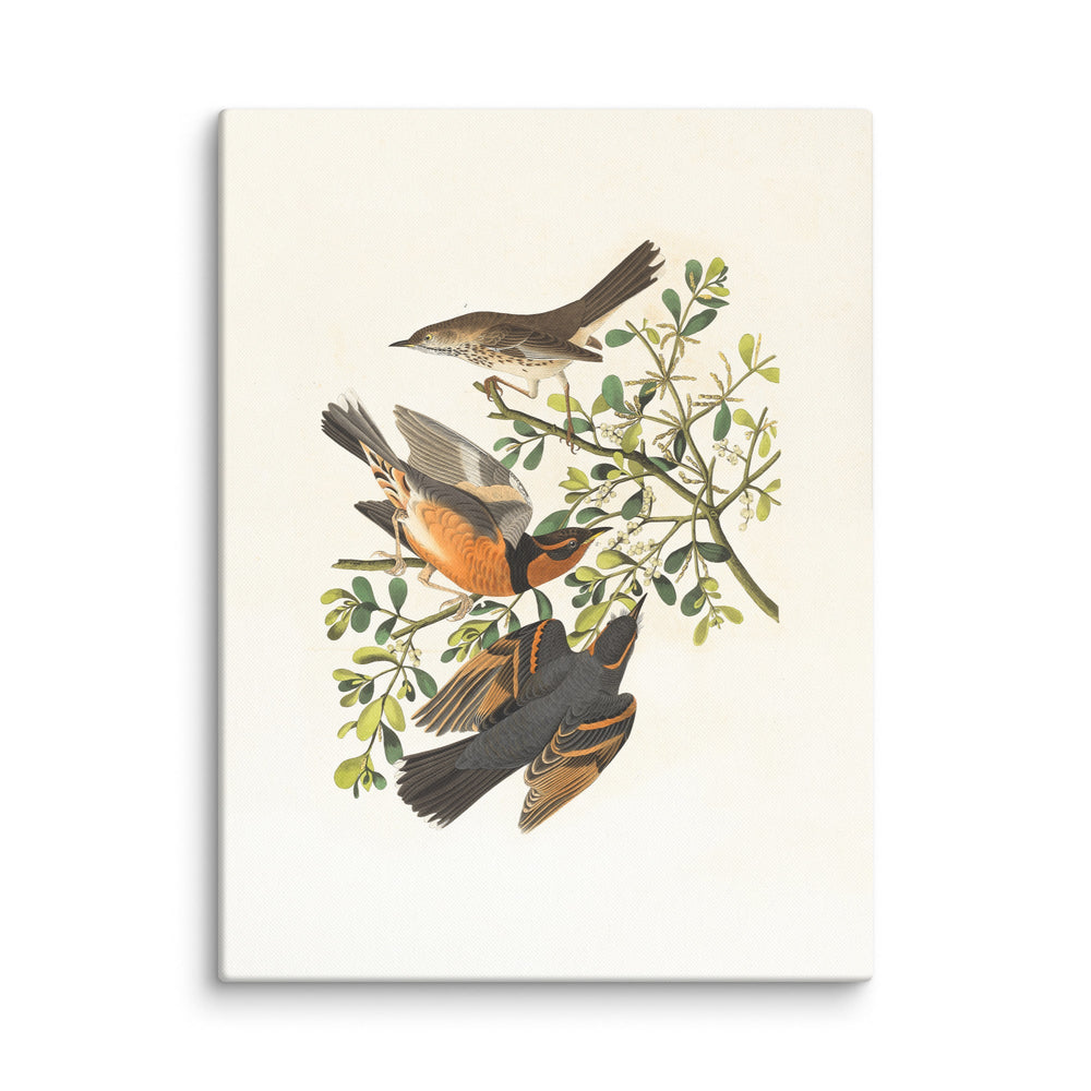 Leinwand - Drei Vögel auf Ästen ohne Rahmen / 31x41 cm (12″×16″) artlia