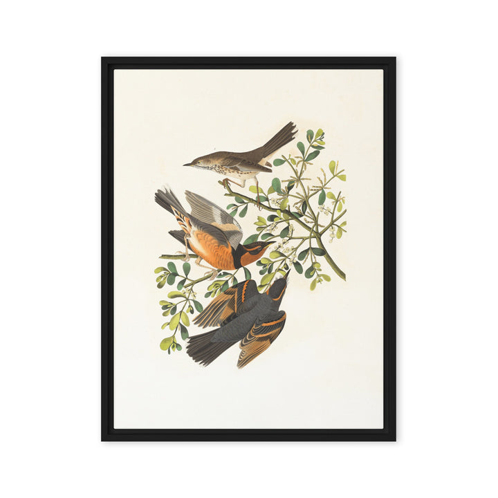 Leinwand - Drei Vögel auf Ästen Schwarz / 61x81 cm (24″×32″) artlia