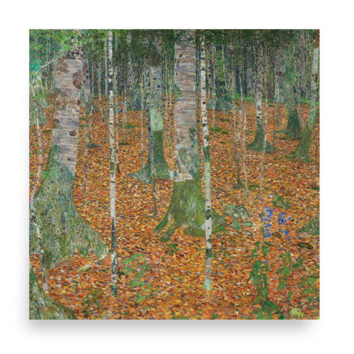 Poster - Gustav Klimt, Birkenwald ohne Rahmen / 30x30 cm artlia
