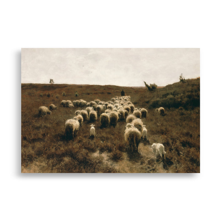 Poster - Anton Mauve, The Return of the Flock, Laren ohne Rahmen / 21×30 cm artlia