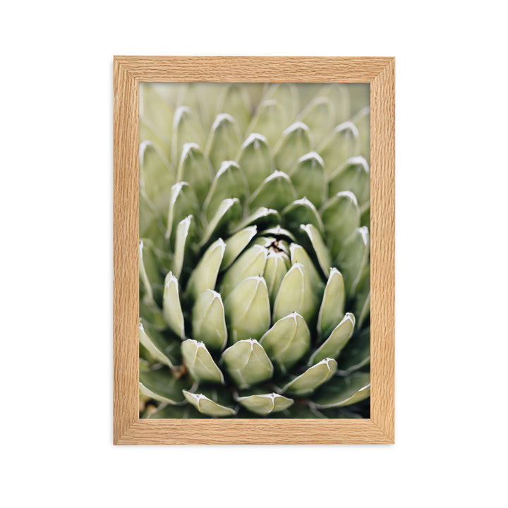 Poster - Cactus Flower II Oak / 21×30 cm artlia