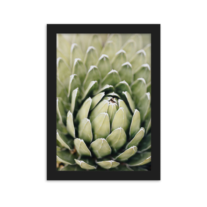 Poster - Cactus Flower II Schwarz / 21×30 cm artlia