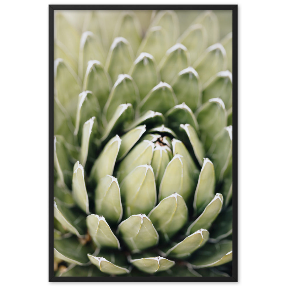 Poster - Cactus Flower II Schwarz / 61×91 cm artlia