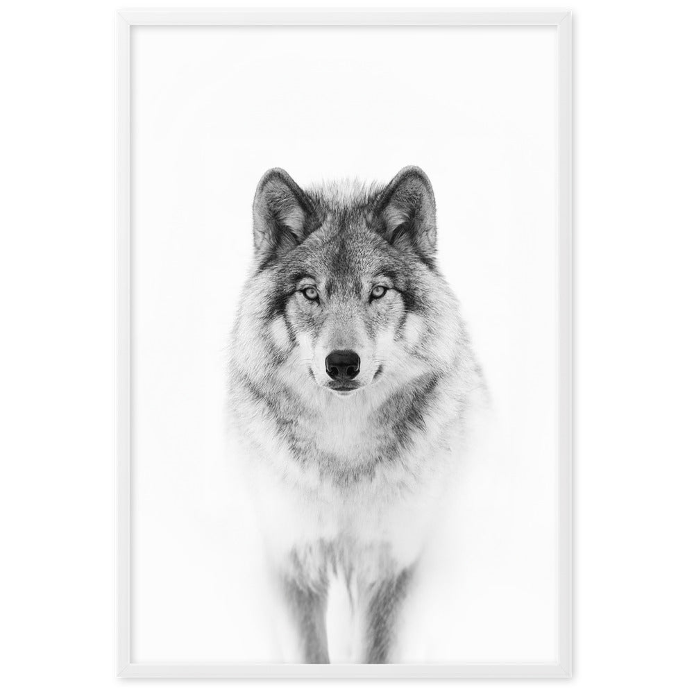 Poster - Calm Wolf artlia