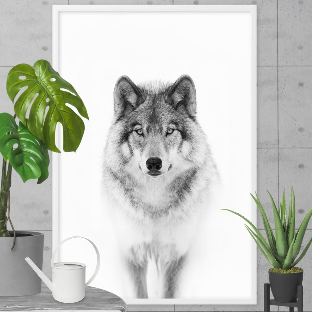 Poster - Calm Wolf artlia