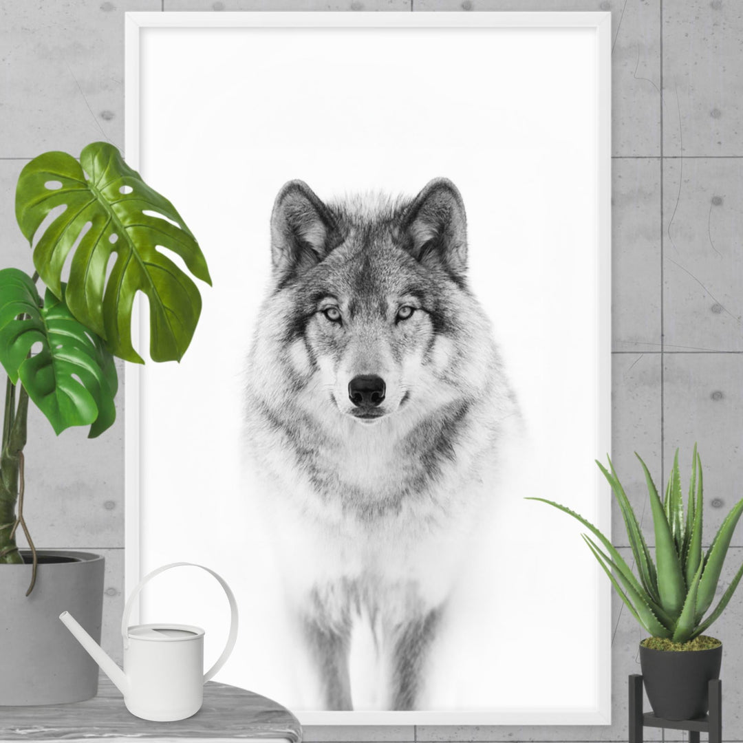 Poster - Calm Wolf artlia