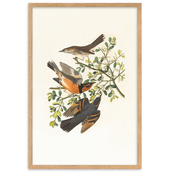 Poster - Drei Vögel auf Ästen Oak / 61×91 cm artlia