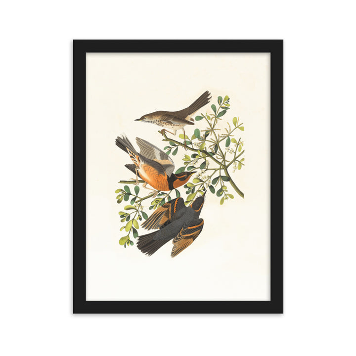 Poster - Drei Vögel auf Ästen Schwarz / 30×40 cm artlia