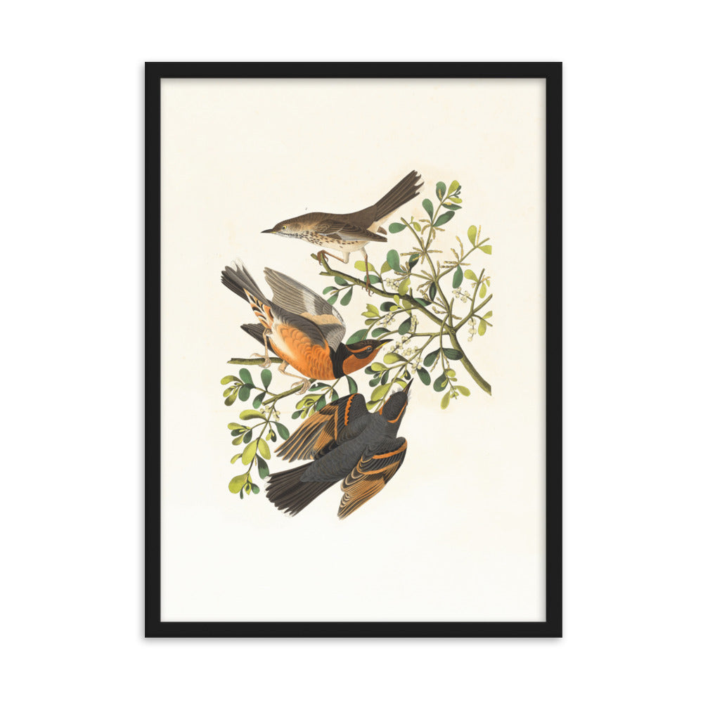 Poster - Drei Vögel auf Ästen Schwarz / 50×70 cm artlia