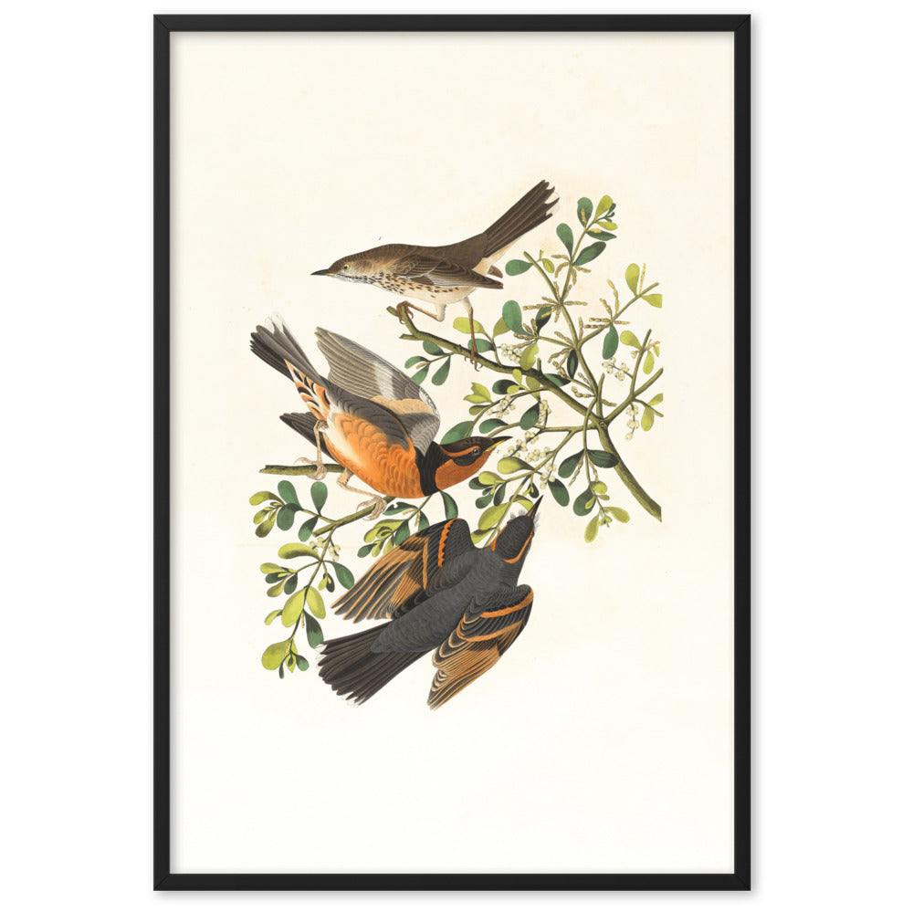 Poster - Drei Vögel auf Ästen Schwarz / 61×91 cm artlia