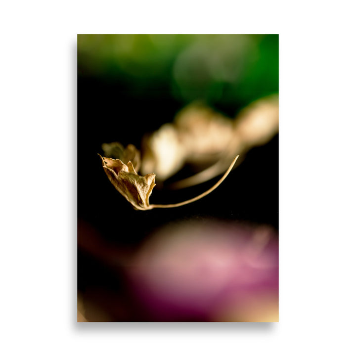 Poster - Falling Leaf ohne Rahmen / 21×30 cm artlia