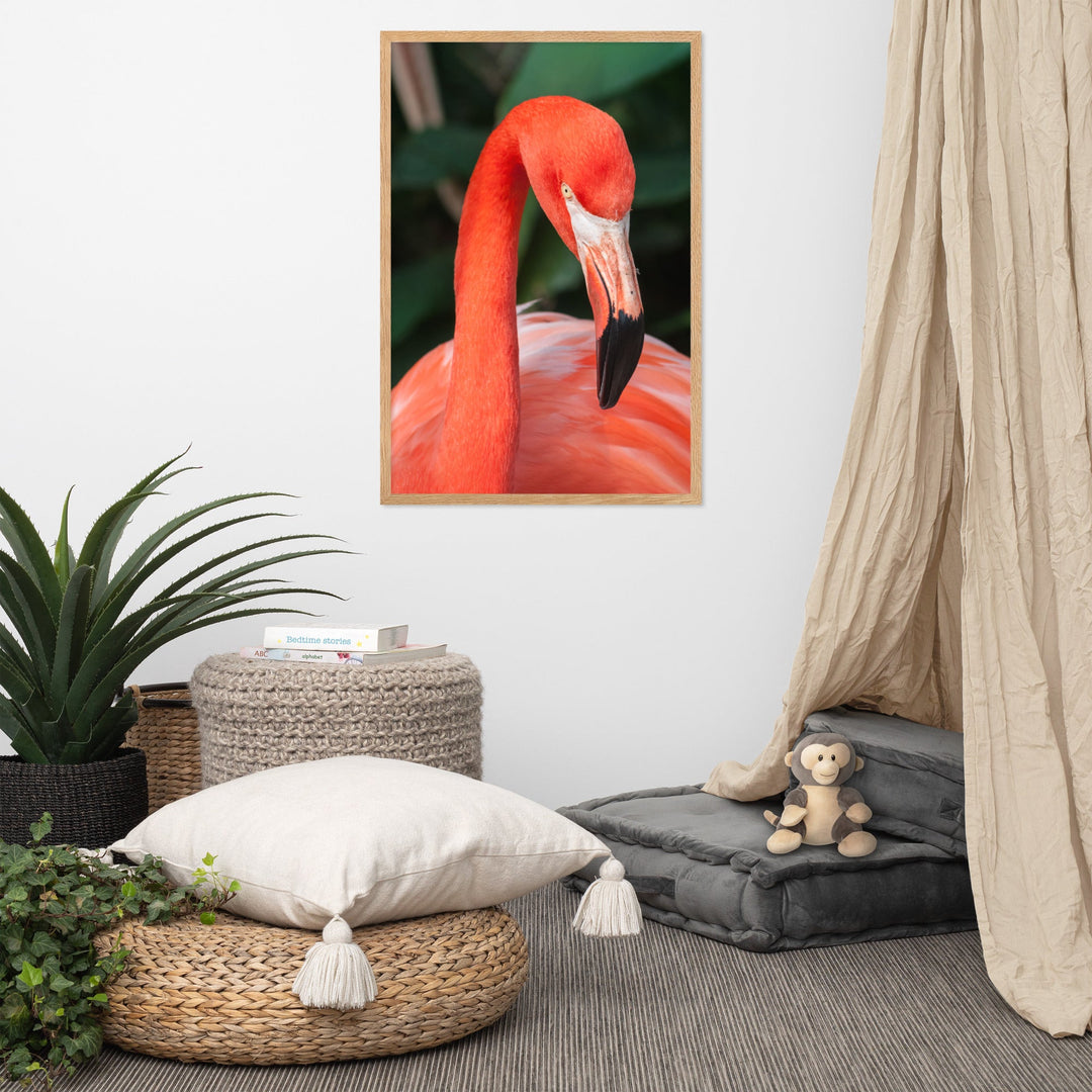 Poster - Flamingo, Phoenicopterus Ruber artlia