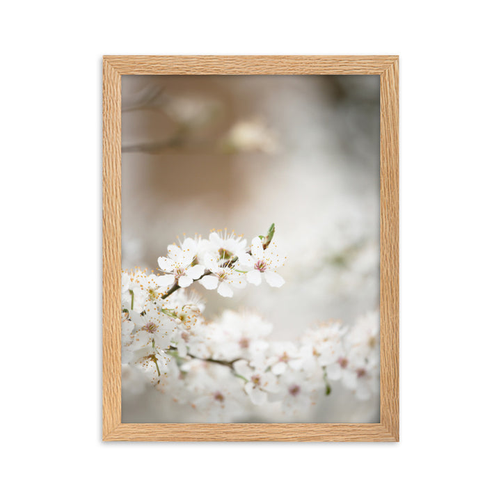 Poster - Kirschblüten Oak / 30×40 cm artlia
