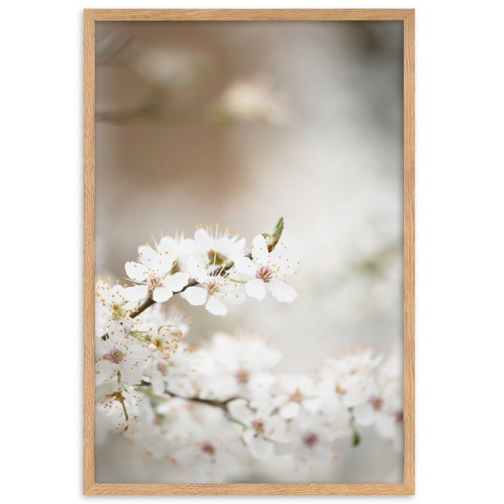 Poster - Kirschblüten Oak / 61×91 cm artlia