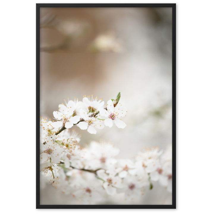 Poster - Kirschblüten Schwarz / 61×91 cm artlia