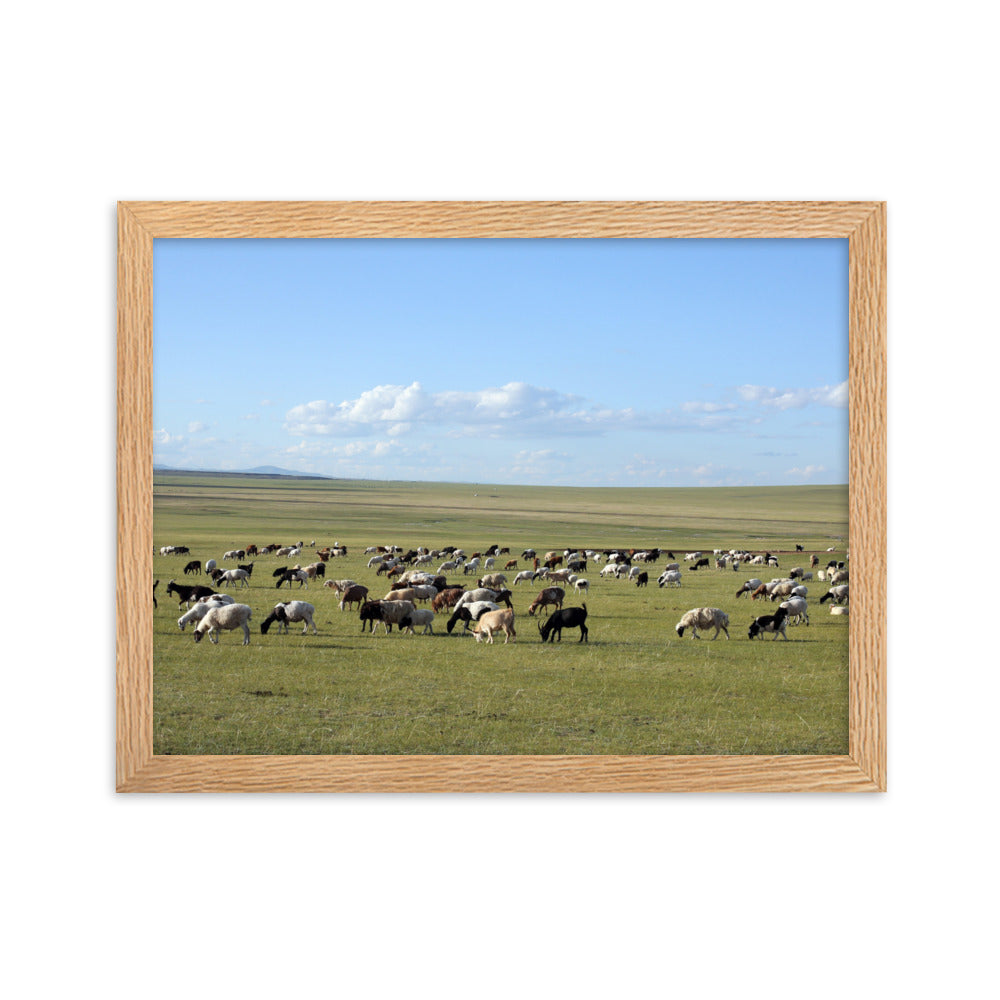 Poster mit Rahmen - Herd of sheep graze in Mongolian steppe Oak / 30×40 cm artlia