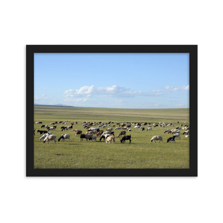 Poster mit Rahmen - Herd of sheep graze in Mongolian steppe Schwarz / 30×40 cm artlia