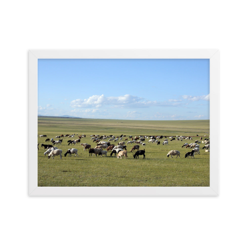 Poster mit Rahmen - Herd of sheep graze in Mongolian steppe Weiß / 30×40 cm artlia