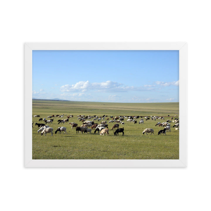 Poster mit Rahmen - Herd of sheep graze in Mongolian steppe Weiß / 30×40 cm artlia