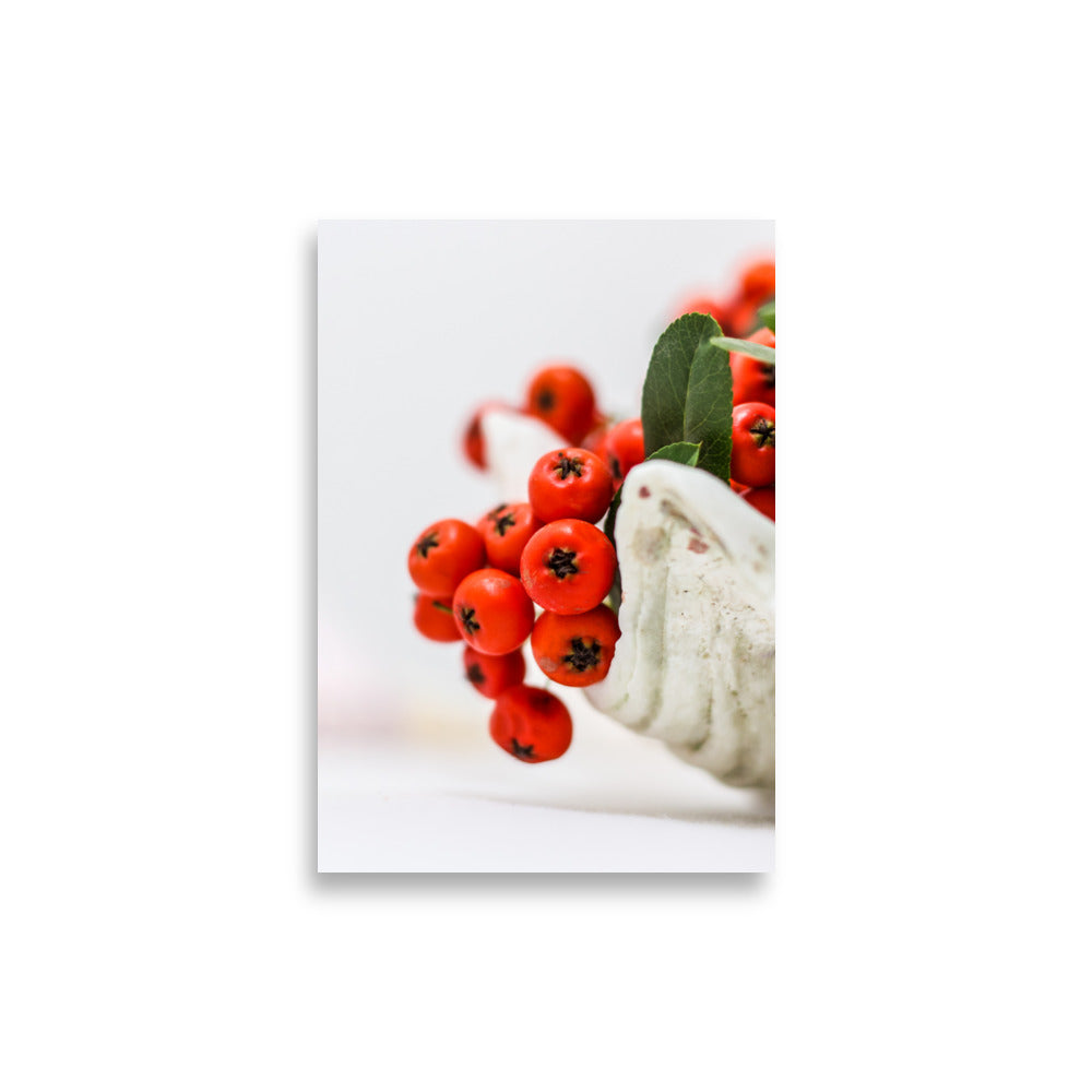 Poster - Red Berries 21×30 cm artlia