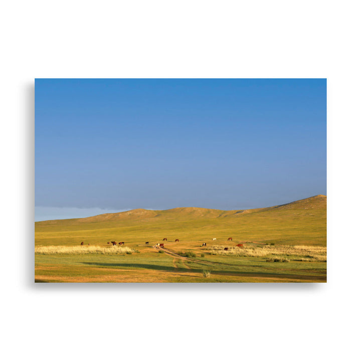Poster - Steppe on a calm morning, Mongolia 21×30 cm artlia
