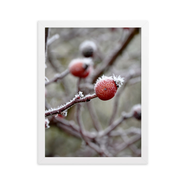 Poster - Winterbeeren II Weiß / 30×40 cm artlia