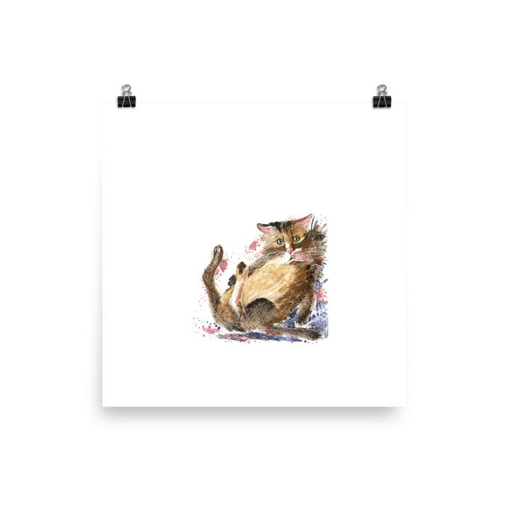 Dom Katze - Poster 25x25 cm artlia