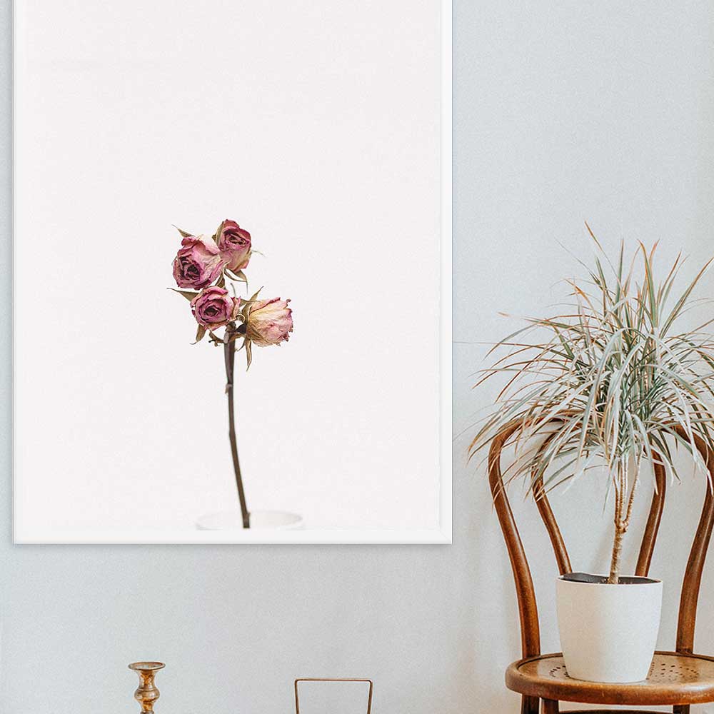 Poster - Trockenrosen artlia