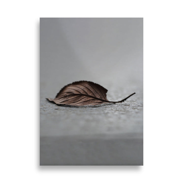 gefallenes Blatt - Poster 21×30 cm artlia