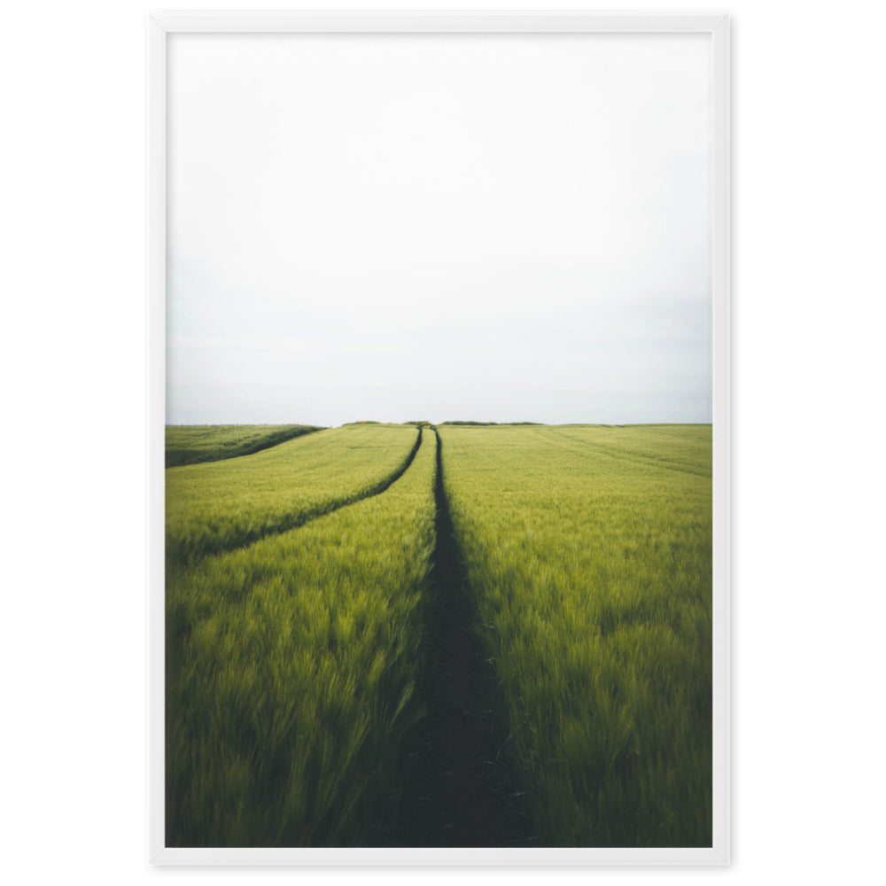 Gerstenfeld barley field - Poster artlia