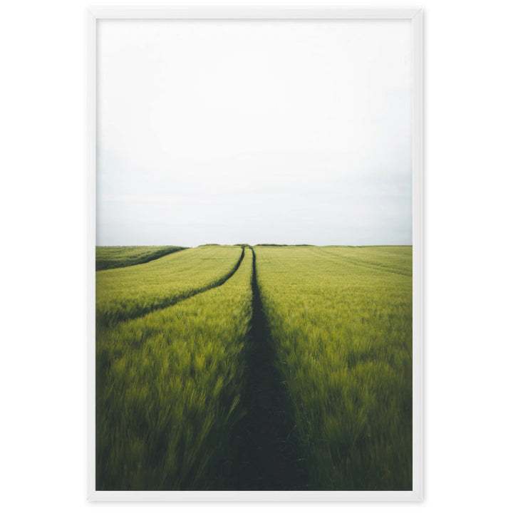 Gerstenfeld barley field - Poster artlia