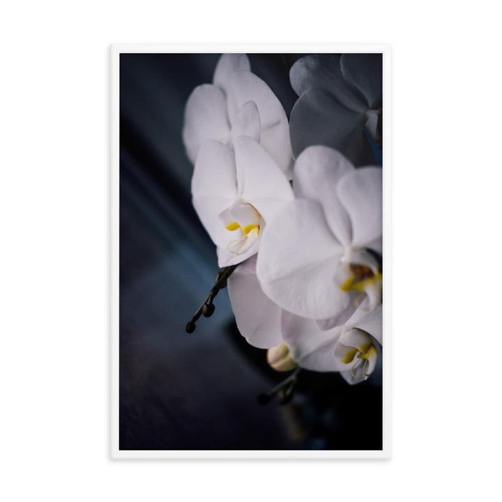 Orchidee 02 - Poster artlia