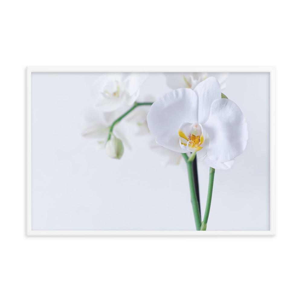 Orchidee 03 - Poster artlia