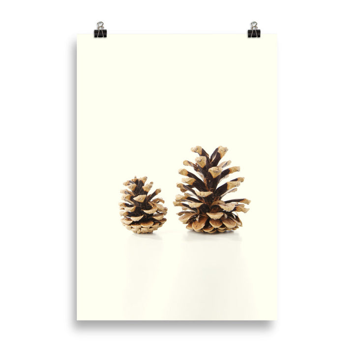 Pine Cone - Poster 21×30 cm artlia