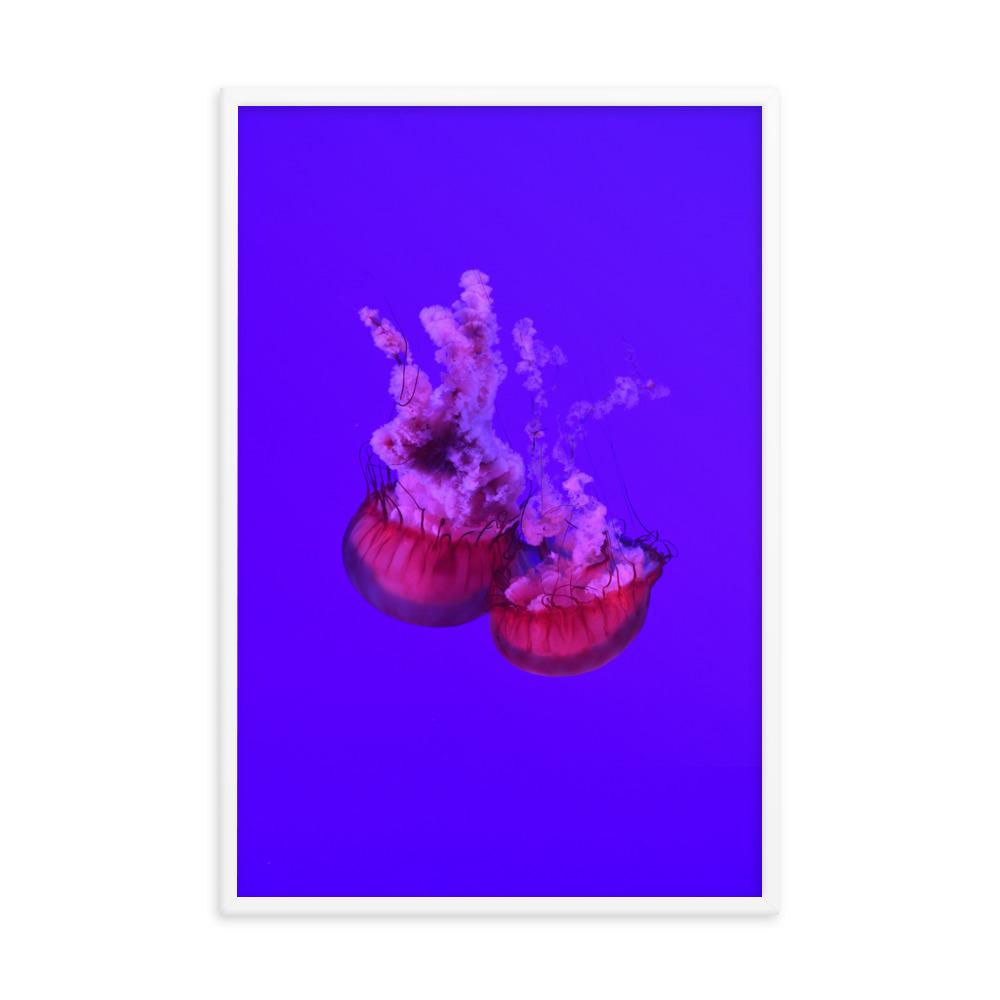 Pinke Qualle - Poster artlia