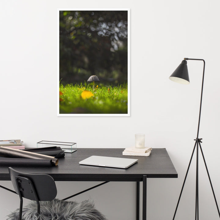 Poster - Pilz artlia