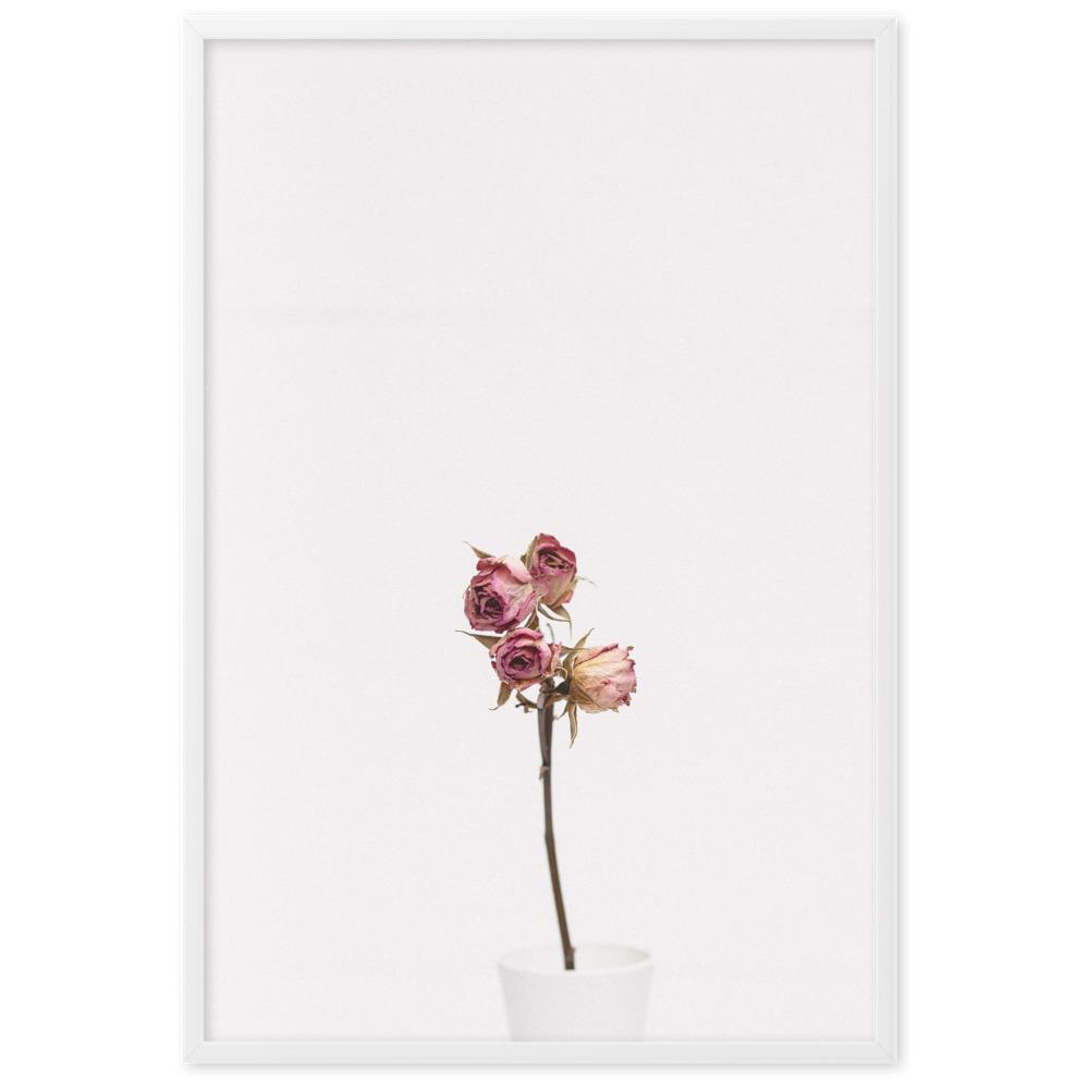 Poster - Trockenrosen artlia