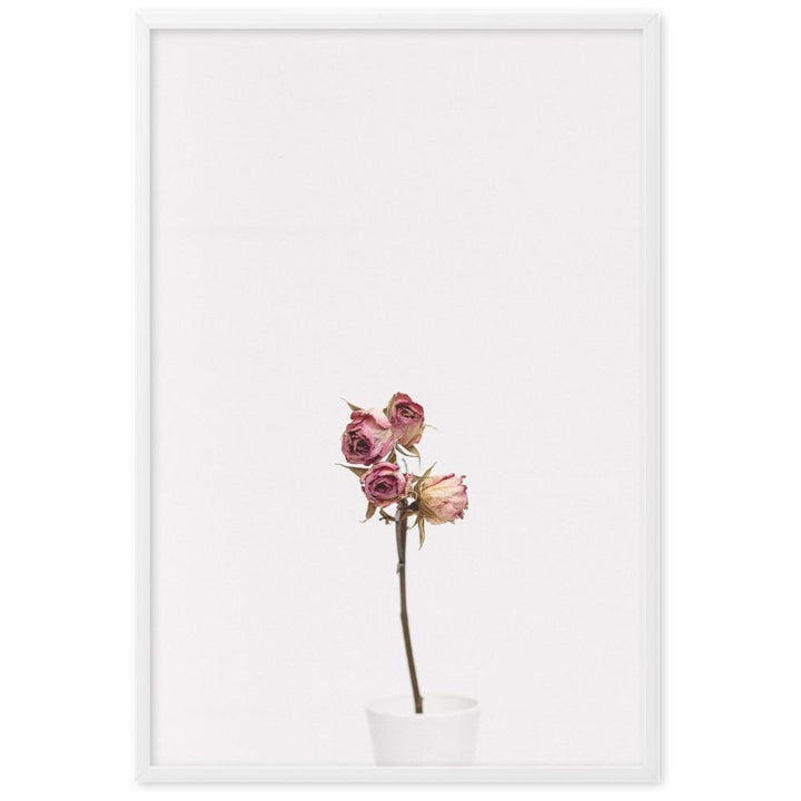 Poster - Trockenrosen artlia