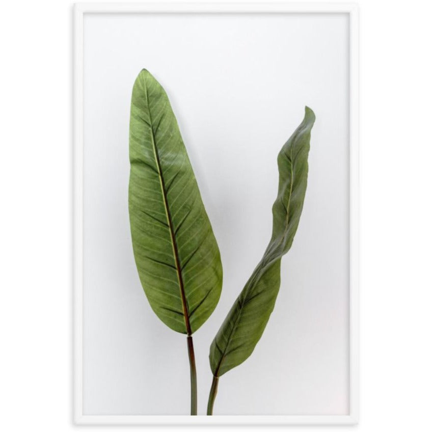 Poster - Tropical Leaves artlia