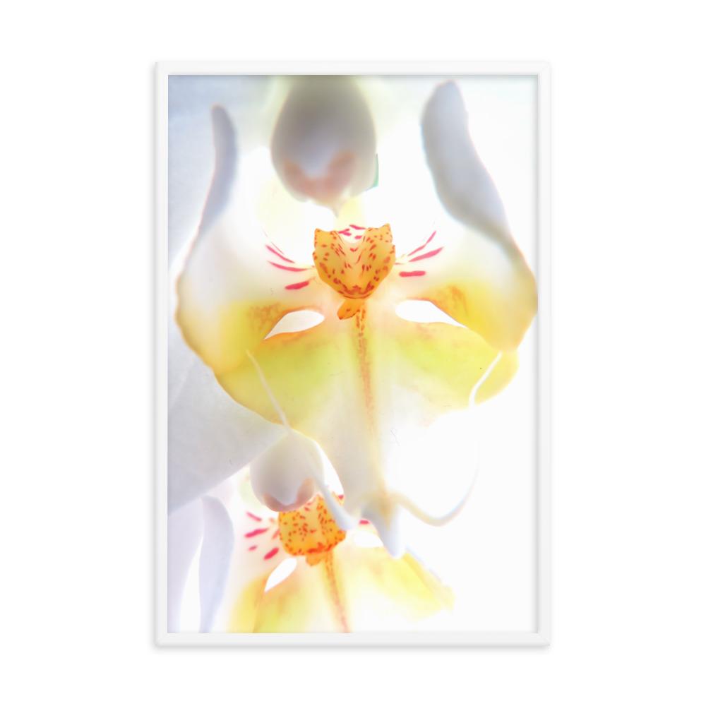 Poster - Yellow Orchid artlia