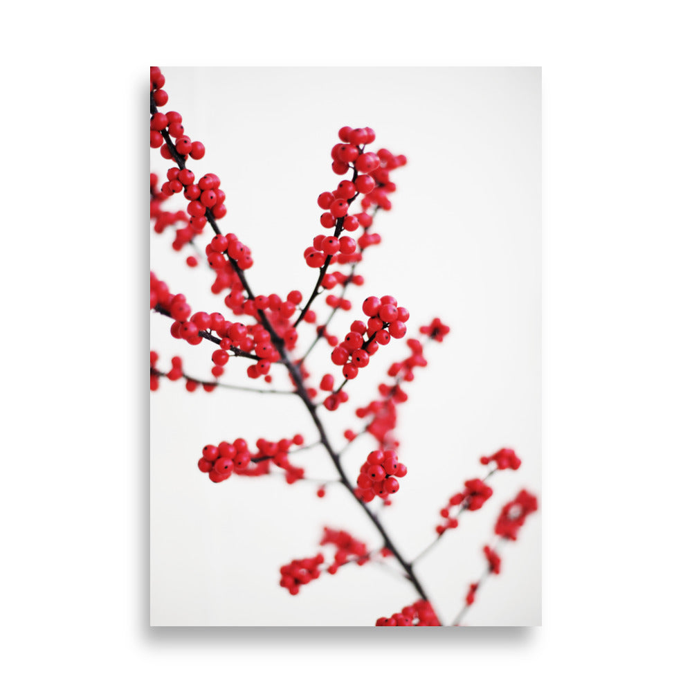 Red Berries - Poster 21×30 cm artlia