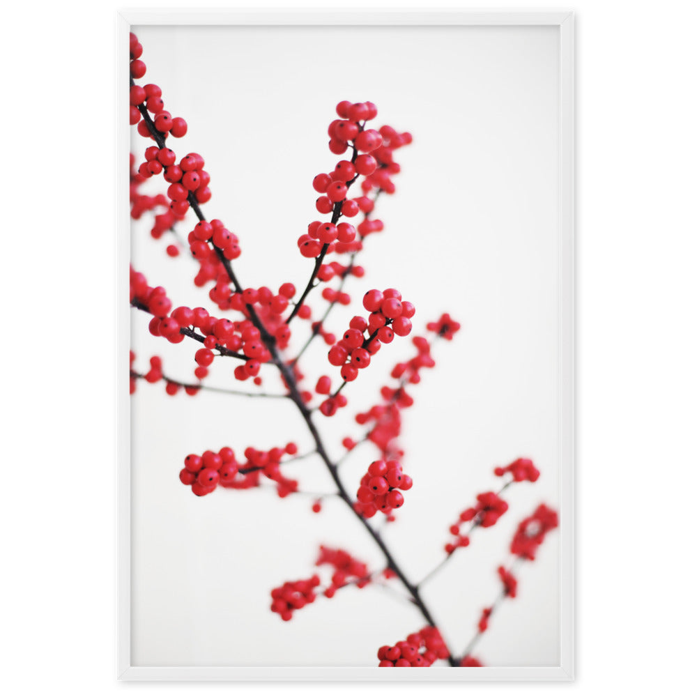 Red Berries - Poster artlia