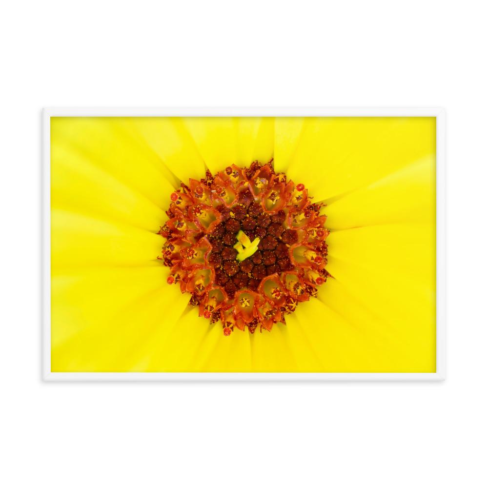 Ringelblume - Poster artlia