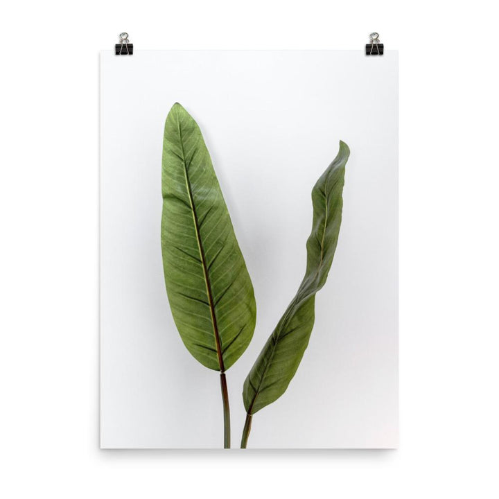 Poster - Tropical Leaves 30x41 cm artlia