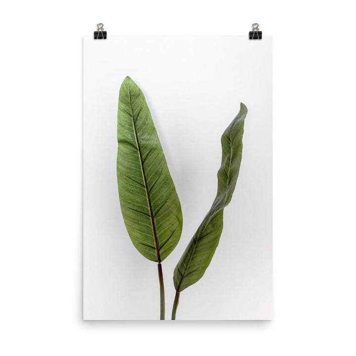 Poster - Tropical Leaves 30x45 cm artlia