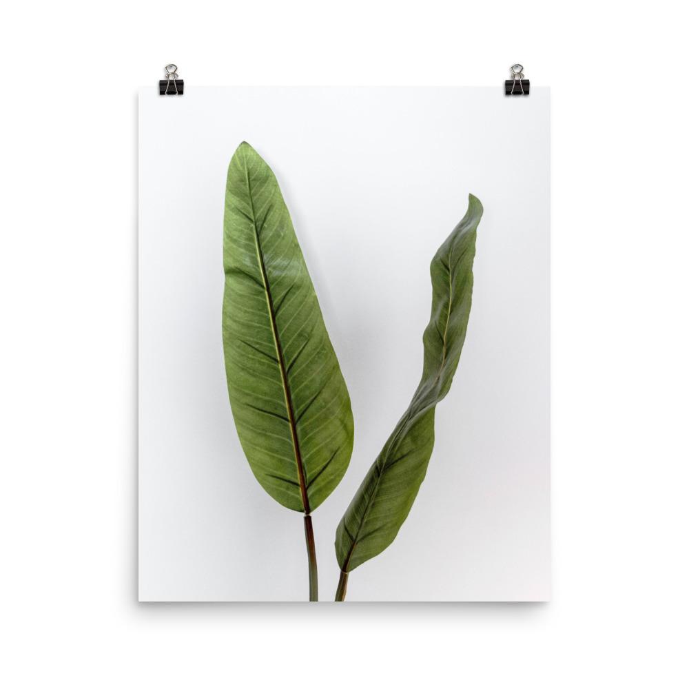 Poster - Tropical Leaves 41x51 cm artlia