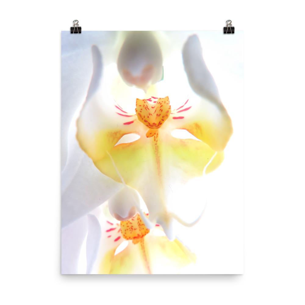 Poster - Yellow Orchid 30x41 cm artlia